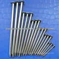 Common Nails,Iron Nail(factory)